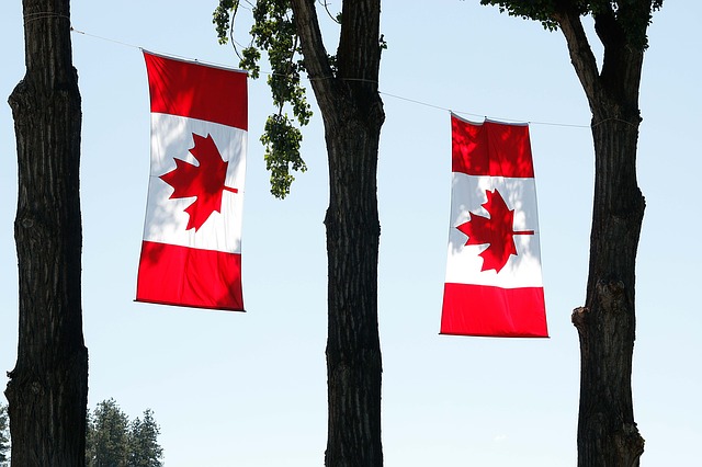 カナダ移住の壁が低くなる？